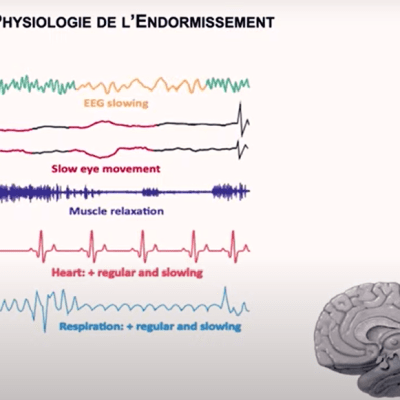 Science : psychologie et&nbsp;sommeil